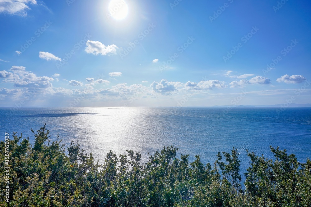 Obraz premium 佐多岬灯台の展望台から見る穏やかな海の情景