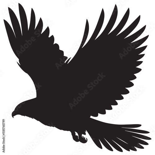 Bald Eagle black silhouette icon. American eagle wild bird of prey soaring. Falcon or hawk carnivore avian animal flight up vector outline illustration isolated on white