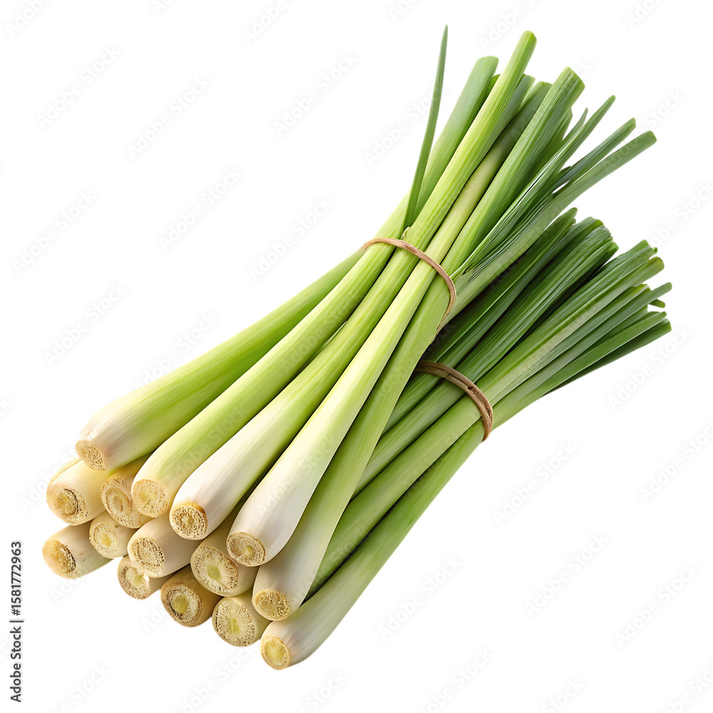 Fototapeta premium Freshly bundled lemongrass stalks with visible cut ends isolated on transparent background