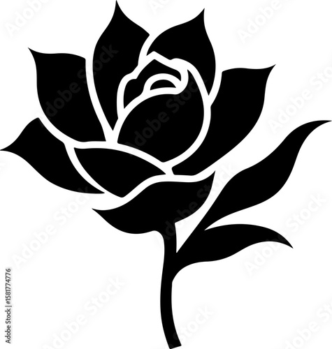 black and white rose