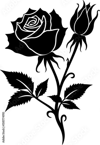 black rose vector illustration, rose, flower, vector, floral, pattern, design, vintage, illustration, nature, leaf, art, seamless, decoration, ornament, plant, blossom, roses, love, beauty, pink, spri