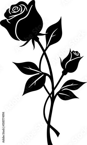 black rose vector illustration, rose, flower, vector, floral, pattern, design, vintage, illustration, nature, leaf, art, seamless, decoration, ornament, plant, blossom, roses, love, beauty, pink, spri