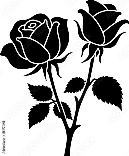 black rose vector illustration, rose, flower, vector, floral, pattern, design, vintage, illustration, nature, leaf, art, seamless, decoration, ornament, plant, blossom, roses, love, beauty, pink, spri