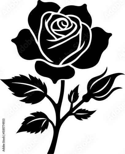 black rose vector illustration, rose, flower, vector, floral, pattern, design, vintage, illustration, nature, leaf, art, seamless, decoration, ornament, plant, blossom, roses, love, beauty, pink, spri