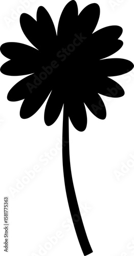 black and white flowers daisy, flower, nature, plant, leaf, floral, vector, blossom, illustration, flora, spring, pink, petal, bloom, summer, flowers, bouquet, garden, daisy, beauty, stem, single, col