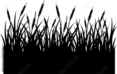 grass silhouette vector, grass, nature, field, sunset, plant, sky, sun, summer, wheat, agriculture, landscape, meadow, silhouette, farm, seed, growth, lawn, yellow, rural, grain, crop, wind, cereal, s