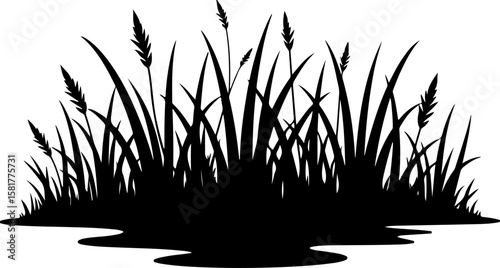grass silhouette vector, grass, nature, field, sunset, plant, sky, sun, summer, wheat, agriculture, landscape, meadow, silhouette, farm, seed, growth, lawn, yellow, rural, grain, crop, wind, cereal, s