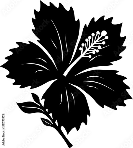 black and white silhouette of flowers jaw, flower, vector, floral, illustration, leaf, plant, design, pattern, nature, ornament, art, decoration, blossom, flora, tattoo, element, summer, silhouette, p