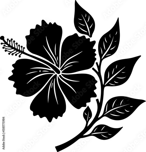 black and white silhouette of flowers jaw, flower, vector, floral, illustration, leaf, plant, design, pattern, nature, ornament, art, decoration, blossom, flora, tattoo, element, summer, silhouette, p