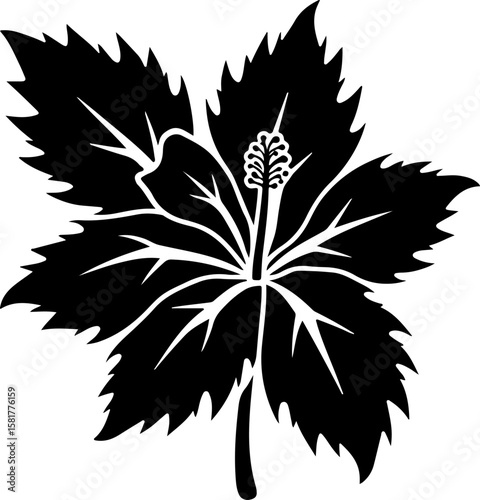 black and white silhouette of flowers jaw, flower, vector, floral, illustration, leaf, plant, design, pattern, nature, ornament, art, decoration, blossom, flora, tattoo, element, summer, silhouette, p