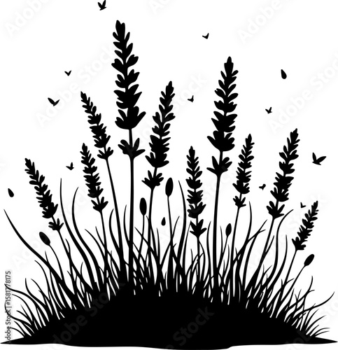 grass silhouette isolated on white. grass, field, nature, wheat, plant, sky, summer, sunset, agriculture, meadow, grain, blue, farm, green, cereal, landscape, crop, sun, yellow, rural, corn, wind, aut