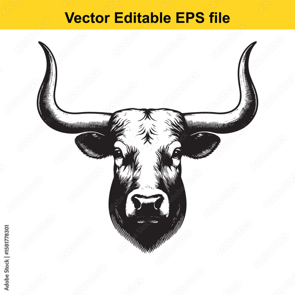 Naklejka premium A powerful bulls head with large horns, isolated on white