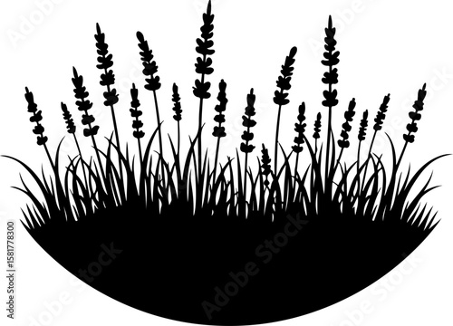 grass silhouette isolated on white. grass, field, nature, wheat, plant, sky, summer, sunset, agriculture, meadow, grain, blue, farm, green, cereal, landscape, crop, sun, yellow, rural, corn, wind, aut