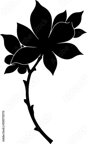 orchid flower vector illustration, flower, vector, illustration, cartoon, insect, nature, floral, design, spring, orchid, plant, butterfly, decoration, art, bee, petal, pattern, flowers, leaf, summer,