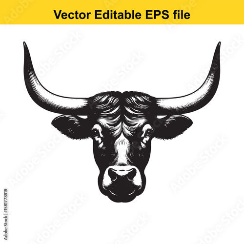 A fierce bull head with large horns, isolated on white