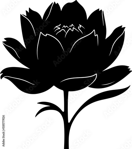 black and white flower, flower, vector, floral, illustration, nature, plant, leaf, design, rose, lotus, blossom, vintage, pattern, flora, ornament, spring, decoration, art, element, symbol, drawing, s