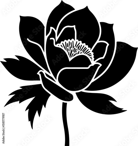 black and white flower, flower, vector, floral, illustration, nature, plant, leaf, design, rose, lotus, blossom, vintage, pattern, flora, ornament, spring, decoration, art, element, symbol, drawing, s