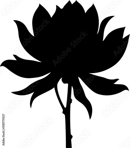 black and white flower, flower, vector, floral, illustration, nature, plant, leaf, design, rose, lotus, blossom, vintage, pattern, flora, ornament, spring, decoration, art, element, symbol, drawing, s
