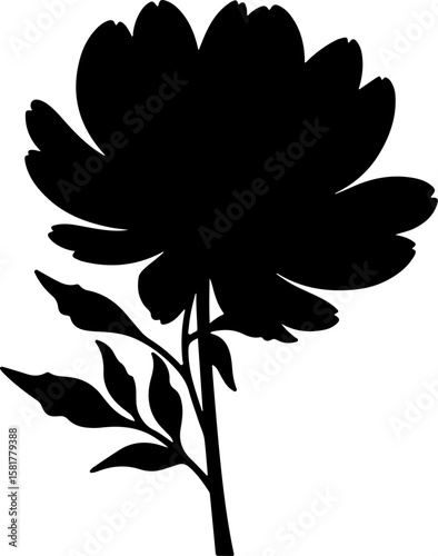 black and white flower, flower, vector, floral, illustration, nature, plant, leaf, design, rose, lotus, blossom, vintage, pattern, flora, ornament, spring, decoration, art, element, symbol, drawing, s