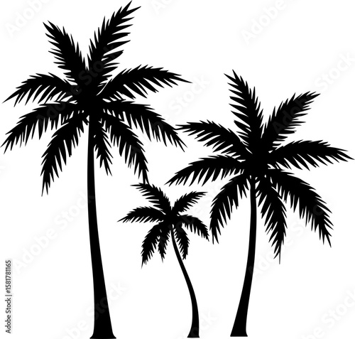 palm trees silhouette, palm, tree, tropical, coconut, nature, palm tree, isolated, beach, leaf, summer, plant, vector, silhouette, illustration, green, travel, island, leaves, white, sea, sky, branch,