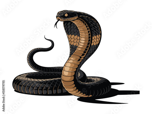 Black King Cobra Vector Icon – Snake Silhouette Illustration,