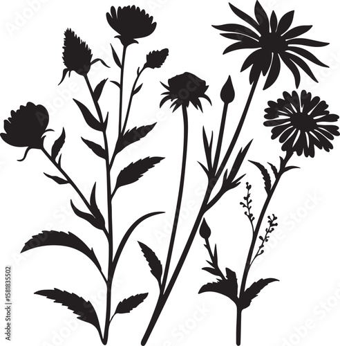 Flower Set Silhouette Vector Icon Design – Solid Black Botanical Clipart Collection for Nature, Garden & Decor Themes