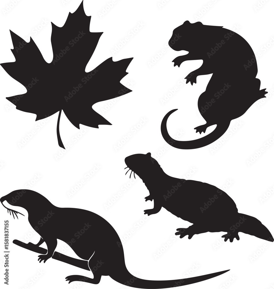 Naklejka premium Silhouettes of Maple Leaf, Otter, and Salamander Icon Vector Design – Solid Black Nature Symbols for Wildlife and Botanical Themes