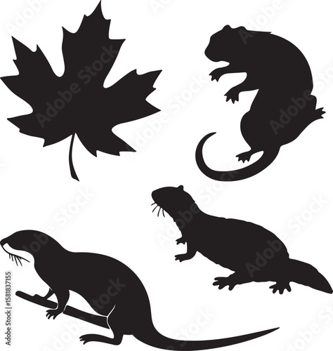 Silhouettes of Maple Leaf, Otter, and Salamander Icon Vector Design – Solid Black Nature Symbols for Wildlife and Botanical Themes