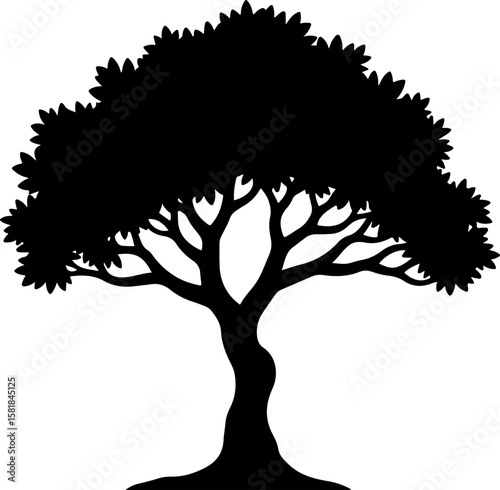 tree with leaves tree, leaf, vector, nature, plant, illustration, branch, design, silhouette, season, art, autumn, forest, leaves, symbol, summer, icon, spring, wood, drawing, green, element, winter, 