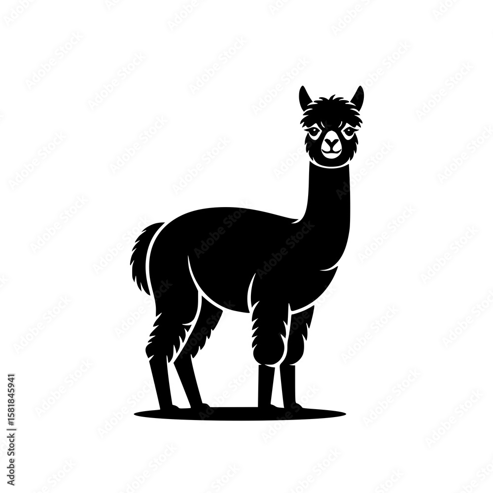 Alpaca Silhouette: A bold, monochrome illustration depicts a standing alpaca, its fluffy coat and elegant posture captured in stark black and white. Alpaca Silhouette: A bold, monochrome illustration depicts a standing alpaca, its fluffy coat and elegant posture captured in stark black and white.