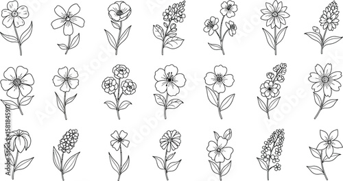 Cute floral outline vector icon sheet with detailed flowers and leaves, designed for modern botanical and decorative nature illustrations.