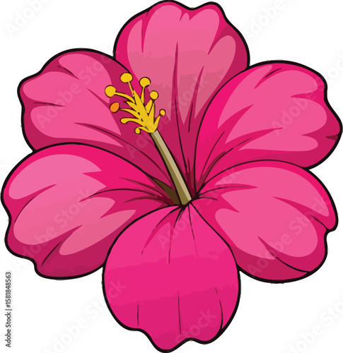 Vibrant Pink Hibiscus Flower Illustration