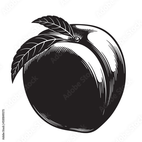 Black and white fruit with leaves plum peach