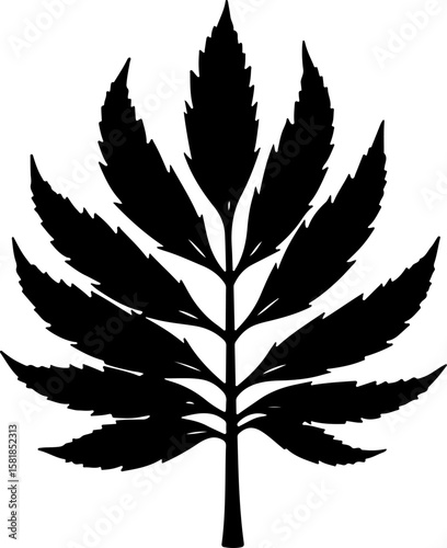 vector silhouette of a leaf, feather, vector, illustration, bird, leaf, pen, art, pattern, nature, quill, design, decoration, silhouette, symbol, set, wing, plant, seamless, vintage, plume, drawing, c