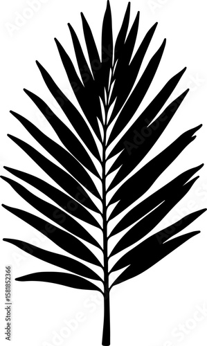 vector silhouette of a leaf, feather, vector, illustration, bird, leaf, pen, art, pattern, nature, quill, design, decoration, silhouette, symbol, set, wing, plant, seamless, vintage, plume, drawing, c