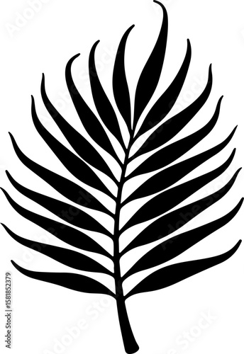 vector silhouette of a leaf, feather, vector, illustration, bird, leaf, pen, art, pattern, nature, quill, design, decoration, silhouette, symbol, set, wing, plant, seamless, vintage, plume, drawing, c