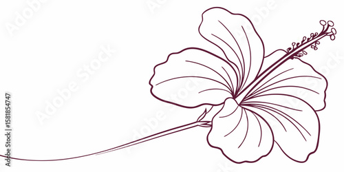 Single-line vector illustration of a hibiscus flower. Minimalist rose mallow continuous outline artwork dark red backview.