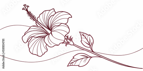 Single-line vector illustration of a hibiscus flower. Minimalist rose mallow continuous outline artwork dark red back-view.