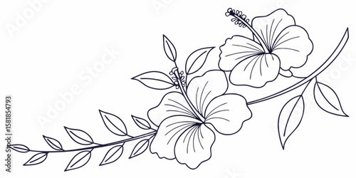 Single-line vector illustration of a hibiscus flower. Minimalist rose mallow continuous outline artwork dark black back-view.