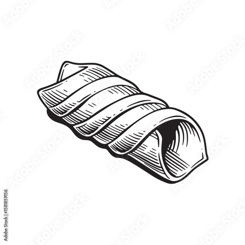 Curled pasta ribbon black and white illustration food italian food