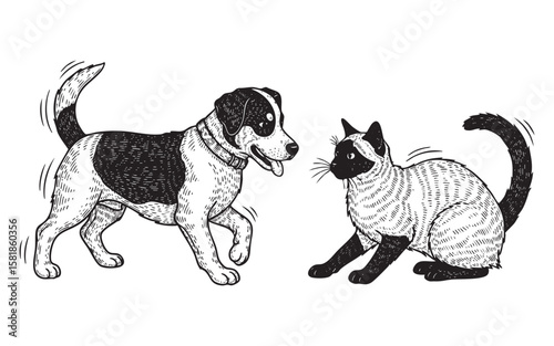 Playful Dog and Cat Friends Hand Drawn Sketch Illustration