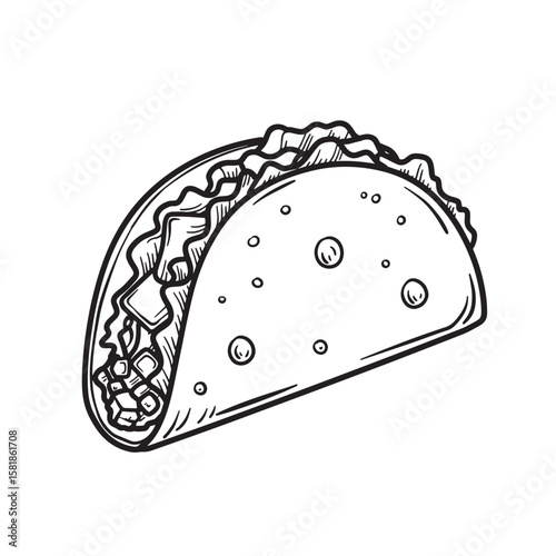 Detailed taco illustration with wavy lettuce and cubed fillings food drawing