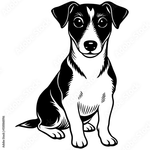 A Detailed Portrait Of A Jack Russell Terrier Sitt