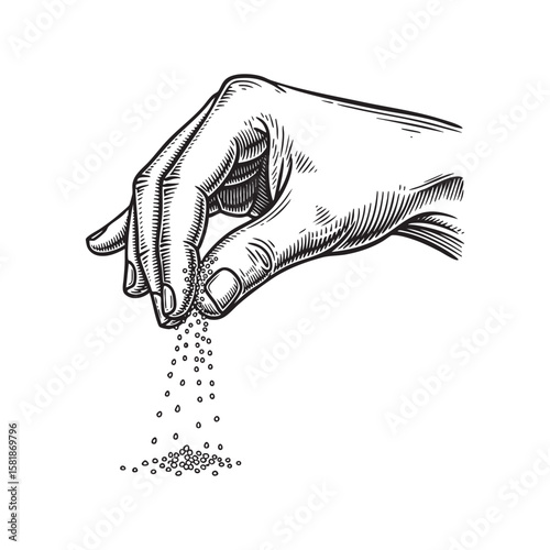 Hand Sprinkling Salt or Sugar Vintage Engraving

