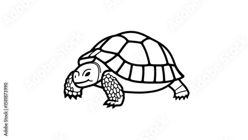 turtle vector illustration