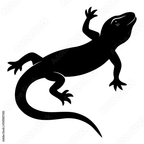 Top down silhouette of a crawling lizard isolated on white background
