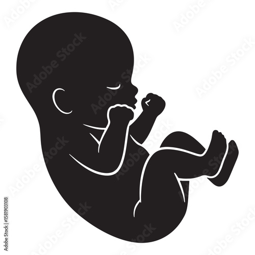 Silhouetted illustration of a fetus in the womb depicting pregnancy and new life