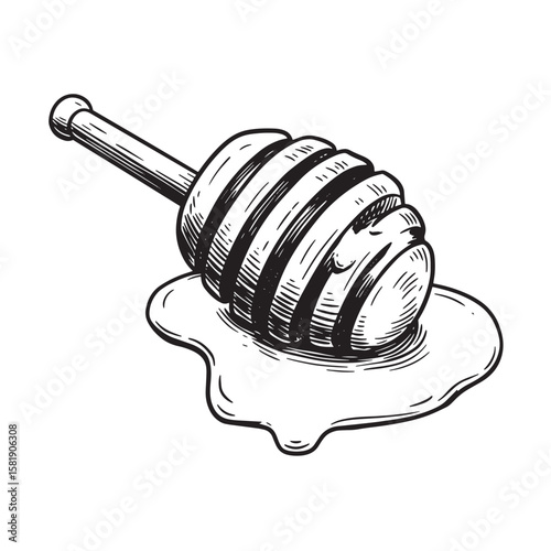 Vintage honey dipper with dripping sweet nectar vector