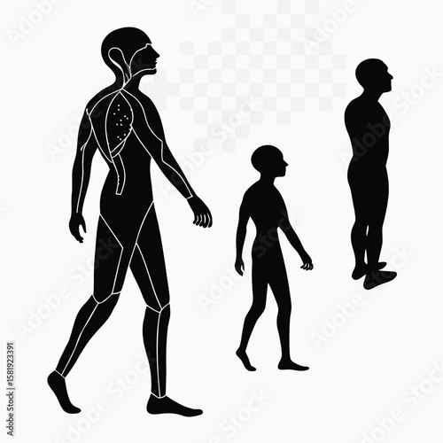 black silhouette vector anatomy parts infographic