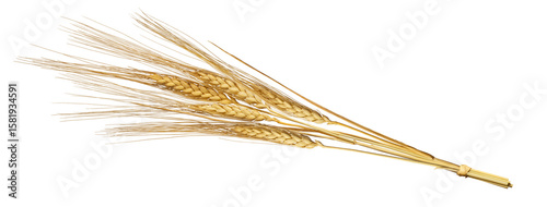 500_F_1581934591_NHkEJbRqatBbb